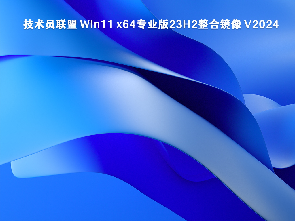技术员联盟 Win11 x64专业版23H2整合镜像 V2024