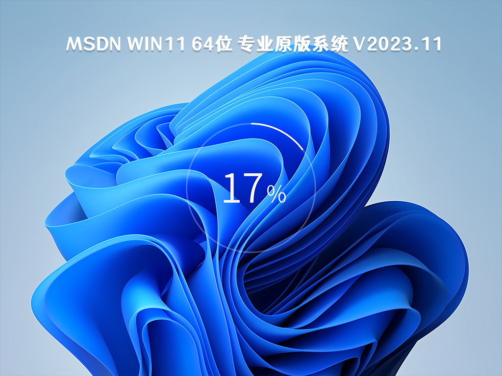 MSDN Win11 64位 专业原版系统 V2023.11