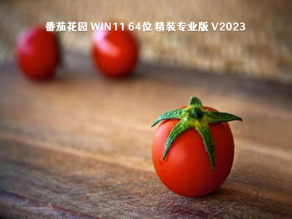 番茄花园 Win11 64位 精装专业版 V2023