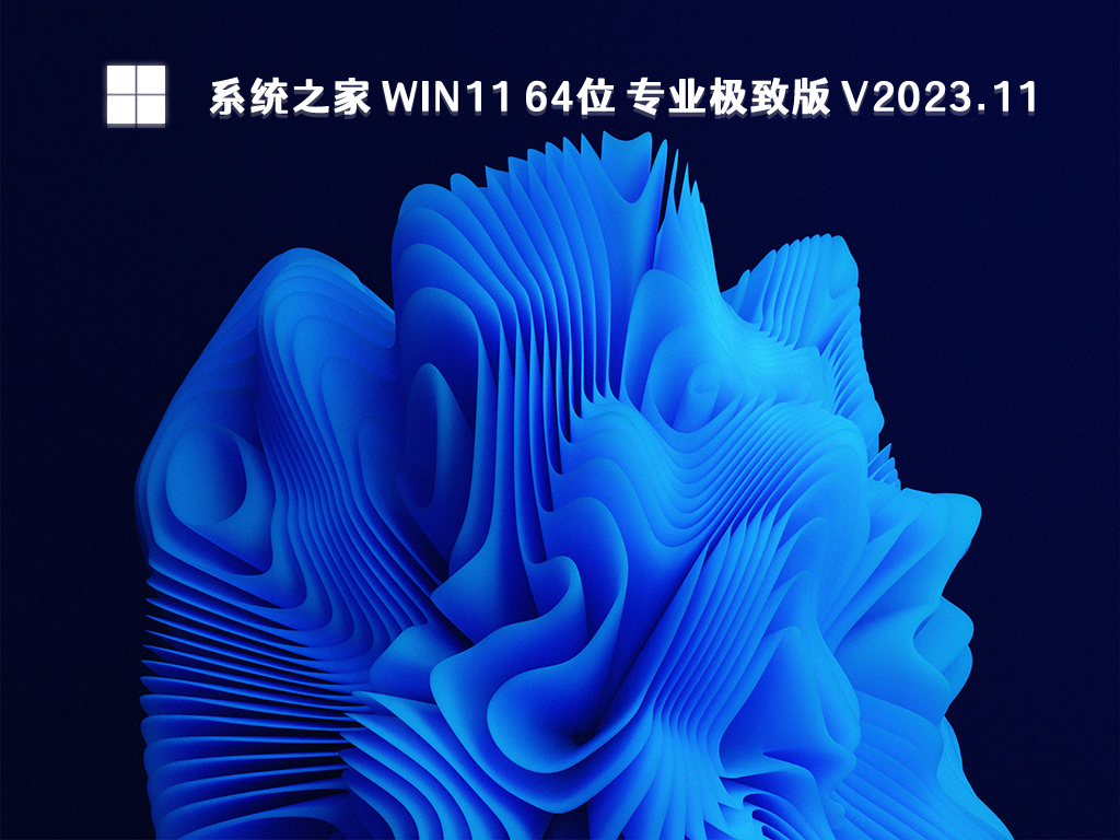 系统之家 Win11 64位 专业极致版 V2023.11