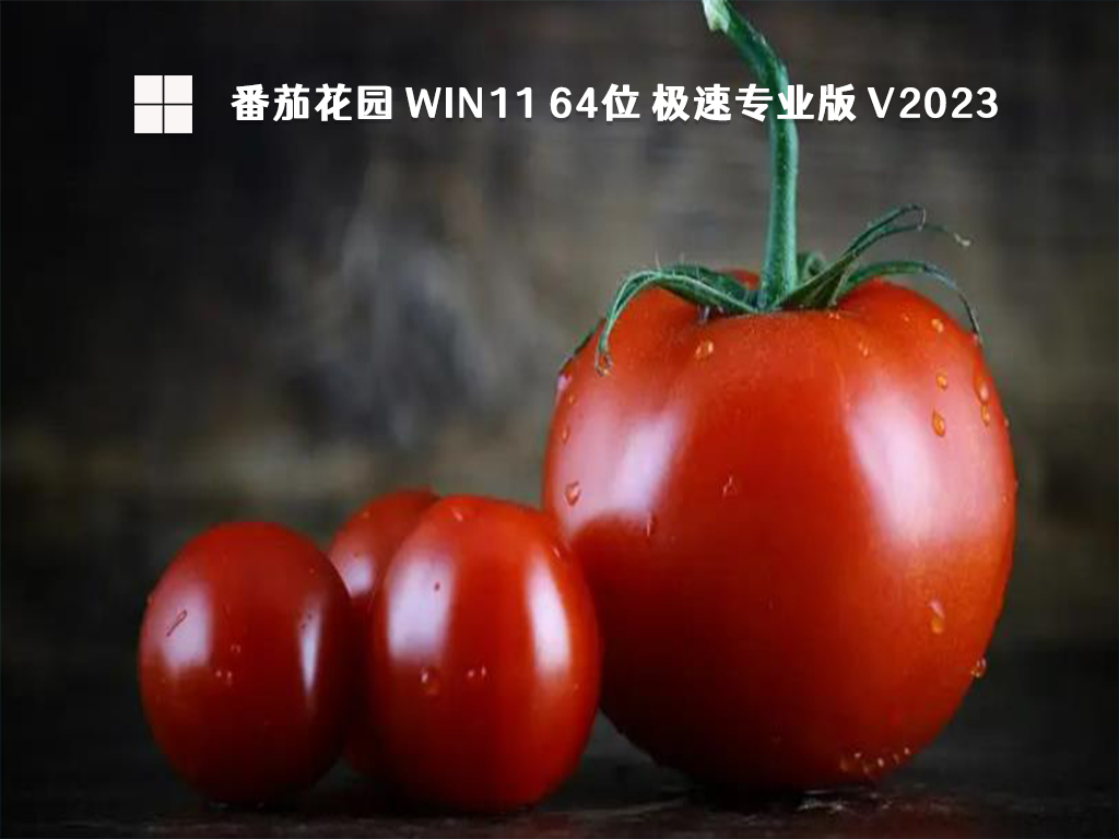 番茄花园 Win11 64位 极速专业版 V2023
