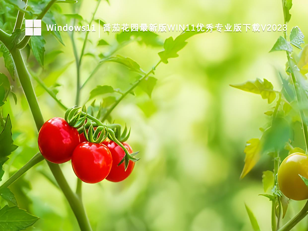 番茄花园最新版Win11优秀专业版下载V2023