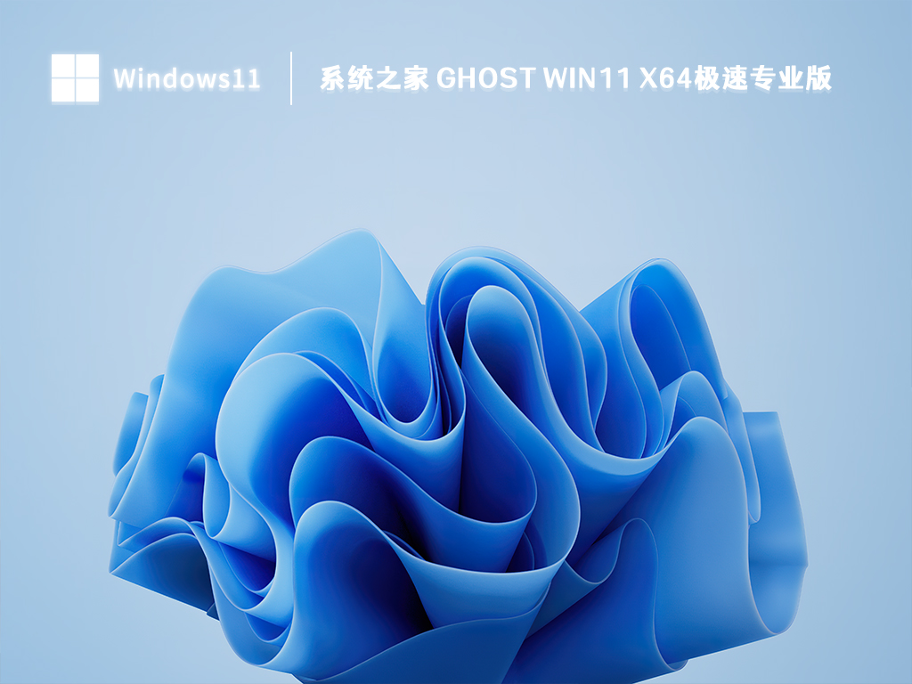 系统之家 Ghost Win11 X64极速专业版 V2023