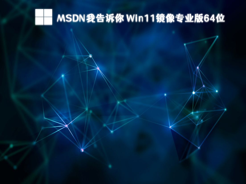 MSDN Win11镜像专业版64位