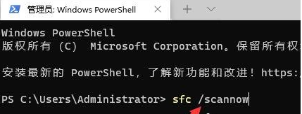 大地系统Win11 64位 专业免激活游戏版 V2023