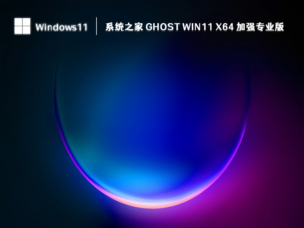 系统之家 Ghost Win11 x64 加强专业版 V2023